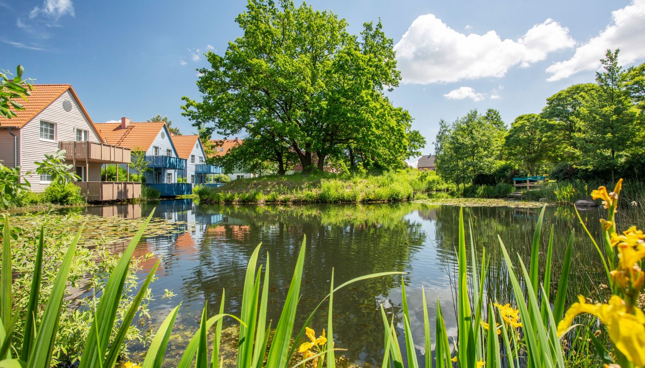 BEECH Resort Fleesensee - Waterside, © Feriendorf Fleesensee GmbH