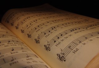 © Claudia Wollesen – Pixabay © Claudia Wollesen – Pixabay