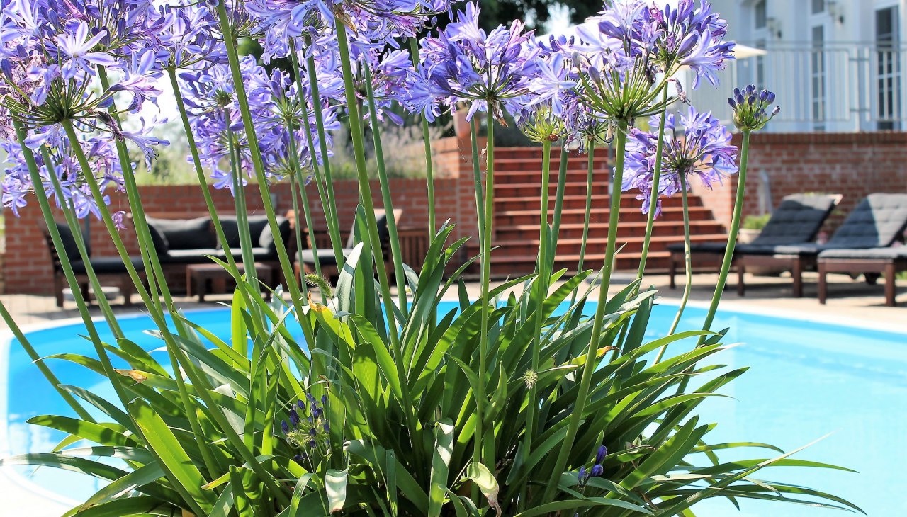 Buitenzwembad, © Sabine Schwanzer