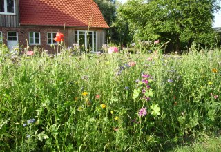 © Südliche Boddenküste © Südliche Boddenküste