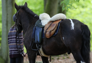 Kurz mal raus aus dem Sattel und die Natur genie&szlig;en ist beim Wanderreiten in Mecklenburg-Vorpommern sehr zu empfehlen. // &copy; MV-T/Pantel