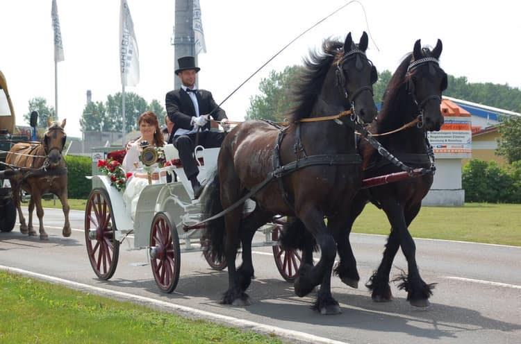 Glasow horse farm, © Pferdehof Glasow Glasow horse farm, © Pferdehof Glasow