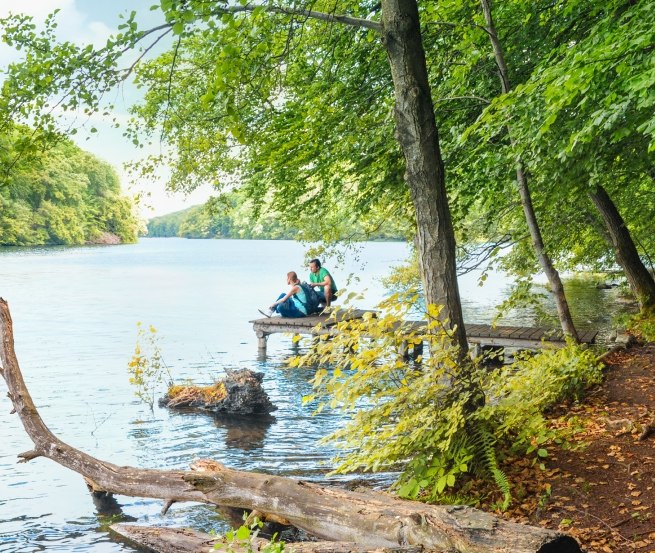 Resting at the Narrow Luzin in the Feldberg Lake District // © MV-T/foto@andreas-duerst.de Resting at the Narrow Luzin in the Feldberg Lake District // © MV-T/foto@andreas-duerst.de