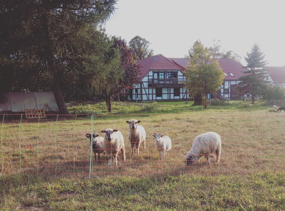 img_20180913_201226_043-kopie, © Foto: Jaeschke