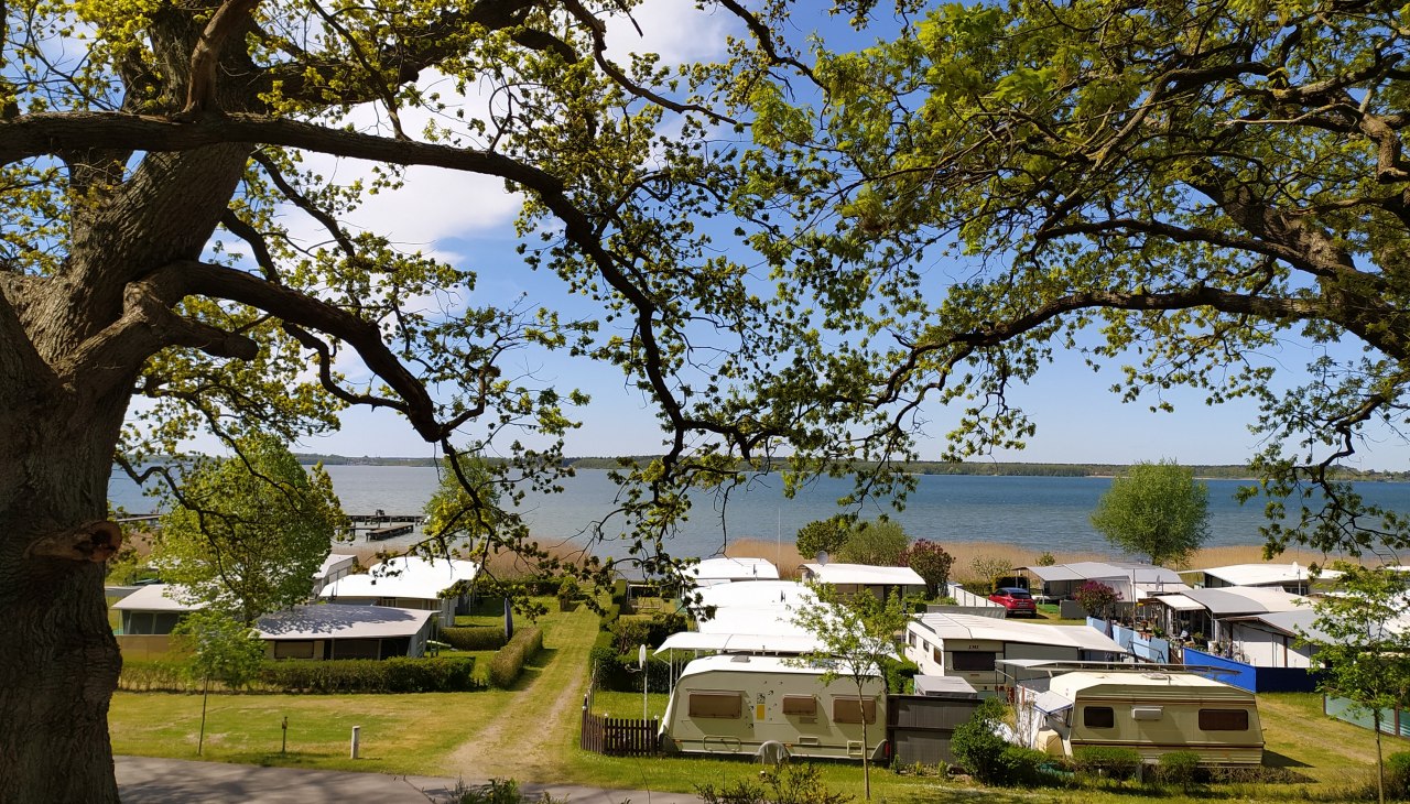 Kemping na wyspie Werder, © TMV/T.Sievert Kemping na wyspie Werder, © TMV/T.Sievert