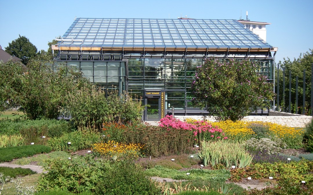 botanischer-garten_ansicht-gewaechshaus_c-tzrw-joachim-kloock, © Joachim Kloock