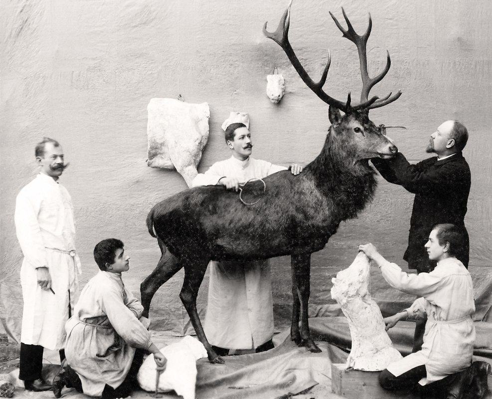 &copy; M&uuml;rtzeum Waren