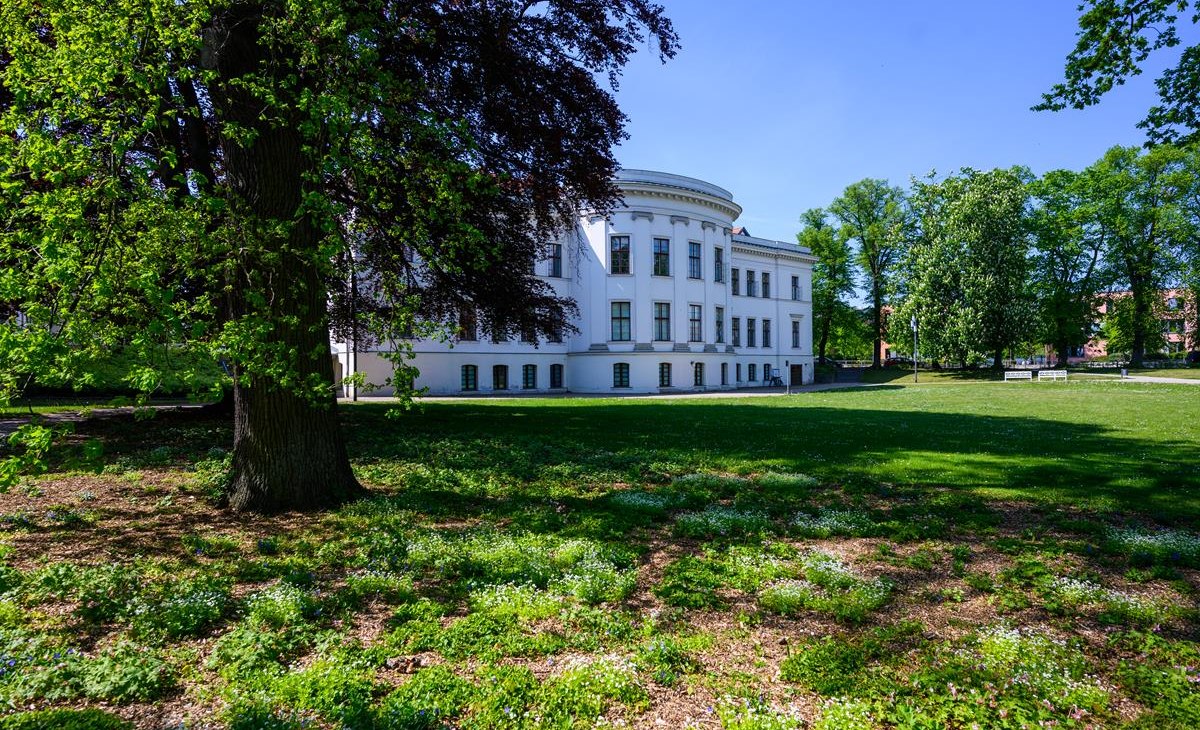 MZ7_3271 (kopie), &copy; TI