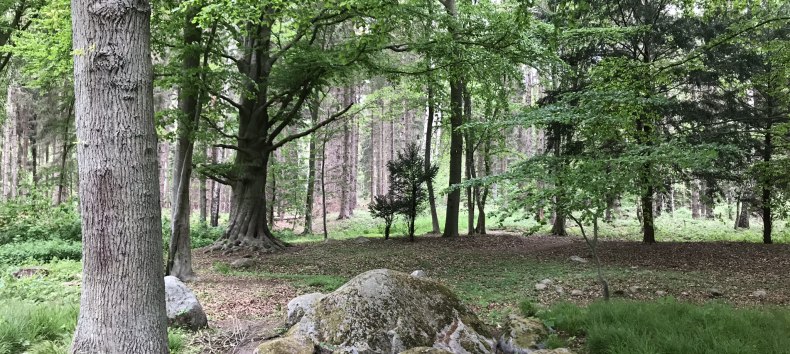 © Kurverwaltung Mönchgut © Kurverwaltung Mönchgut