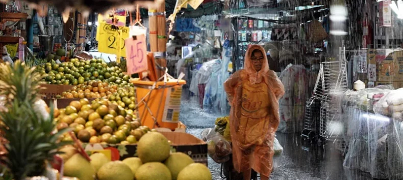 &copy; Fortuna Media Filmverleih