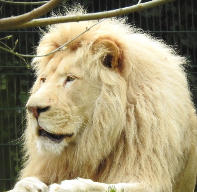 © Hansestadt Stralsund © Hansestadt Stralsund