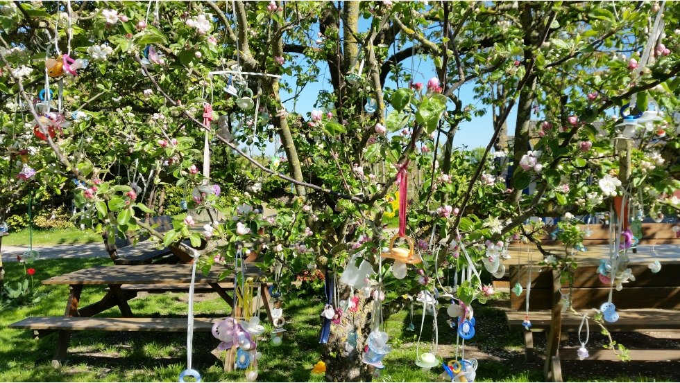 The famous pacifier tree takes the pacifiers of the youngest guests as a farewell gift, so that they are always remembered // © Ostseeferienhäuser Harry Fork The famous pacifier tree takes the pacifiers of the youngest guests as a farewell gift, so that they are always remembered // © Ostseeferienhäuser Harry Fork