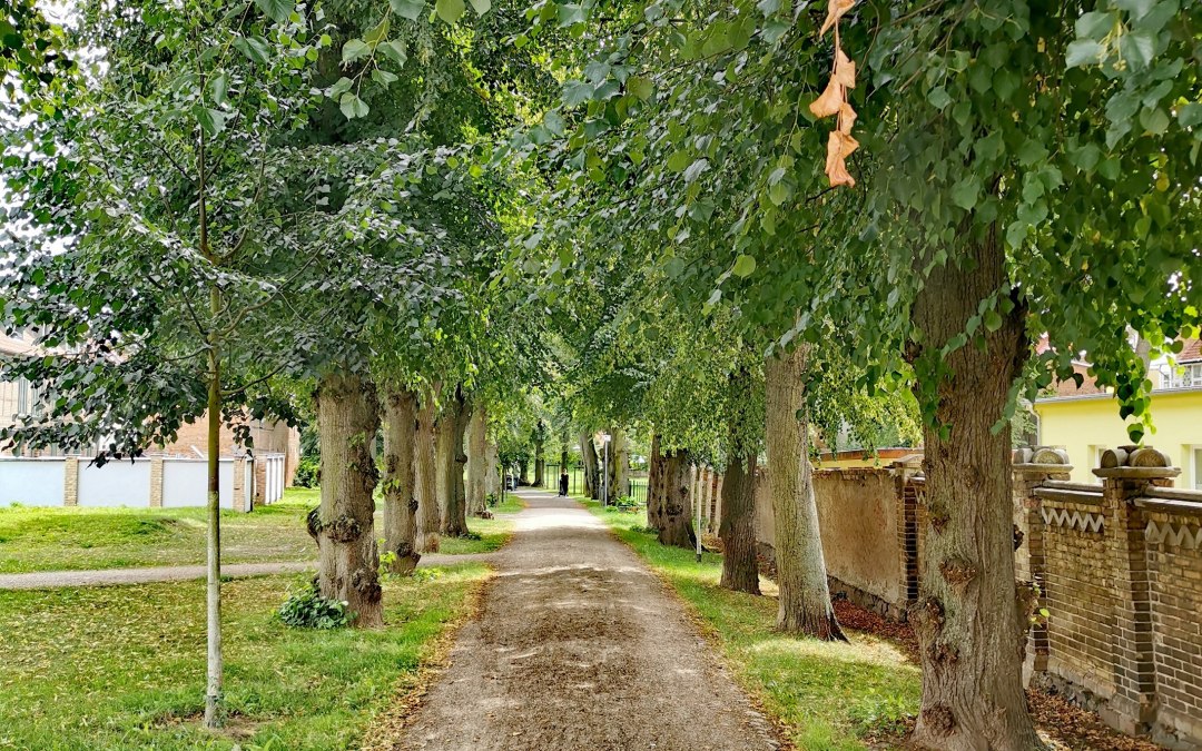 Alley near the Steintor Malchin, © E-Bike MV