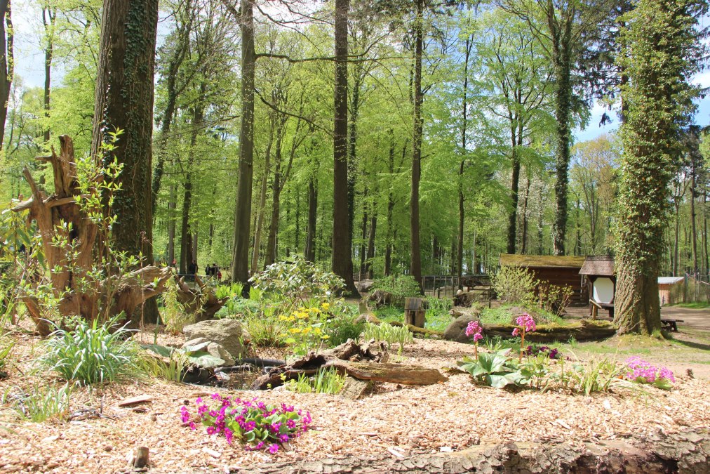 In de dierentuin van Wolgast kunnen bezoekers kennismaken met veel dieren in een idyllische natuurlijke omgeving., © Tierpark Wolgast