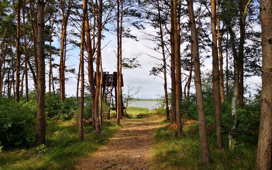 highseat-fuchsberg_barth_nicole-paszehr_web