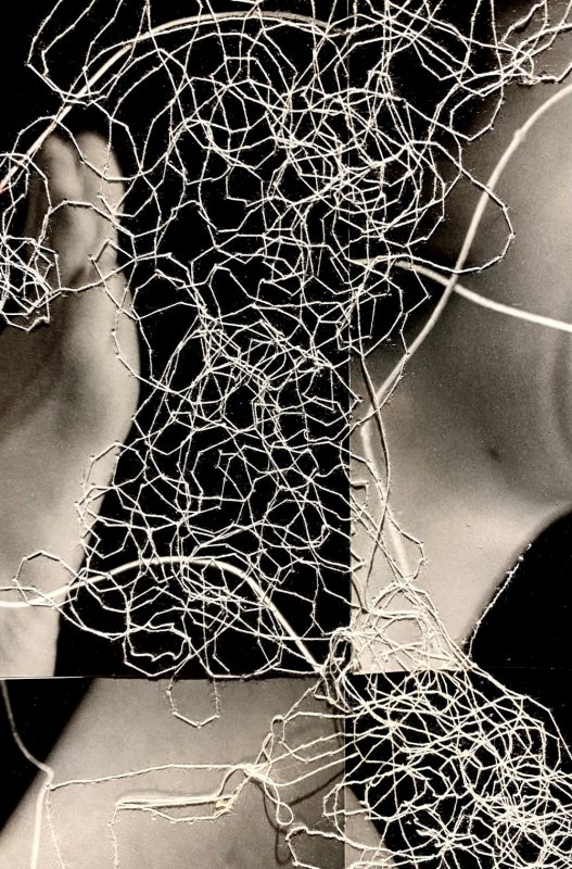 Roots, connect, spun threads, fine webs // &copy; SophiaPontius