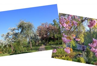 © Backstein-Geist und Garten e.V. © Backstein-Geist und Garten e.V.