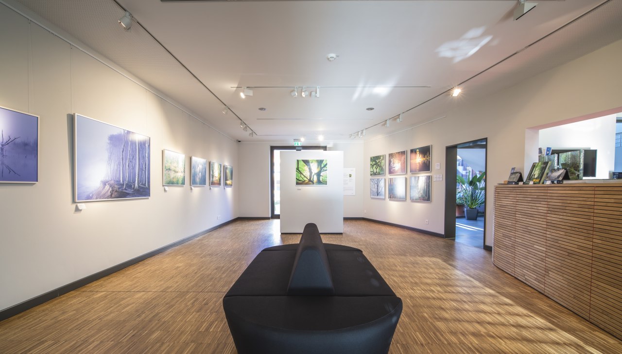 Gallery in the Max Hünten House, © Timm Allrich