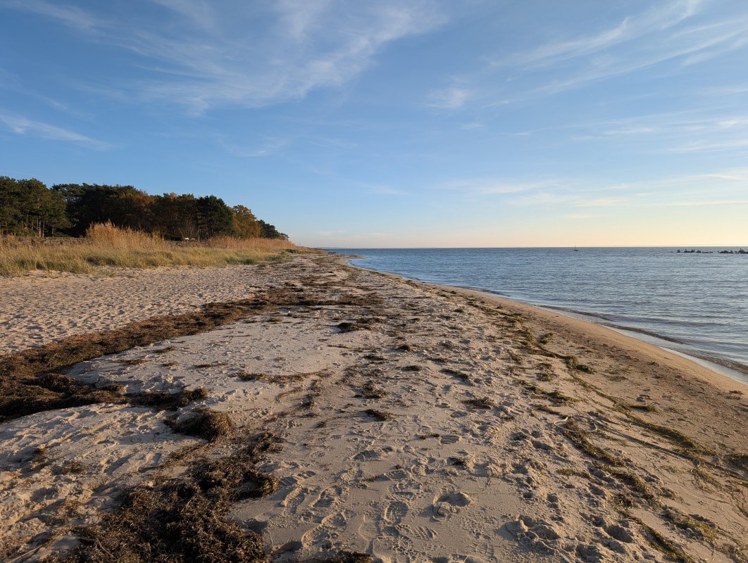 PXL_20251106_134850354, &copy; Kurverwaltung M&ouml;nchgut