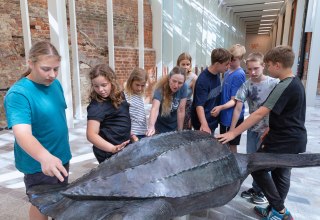 © Anke Neumeister/Deutsches Meeresmuseum