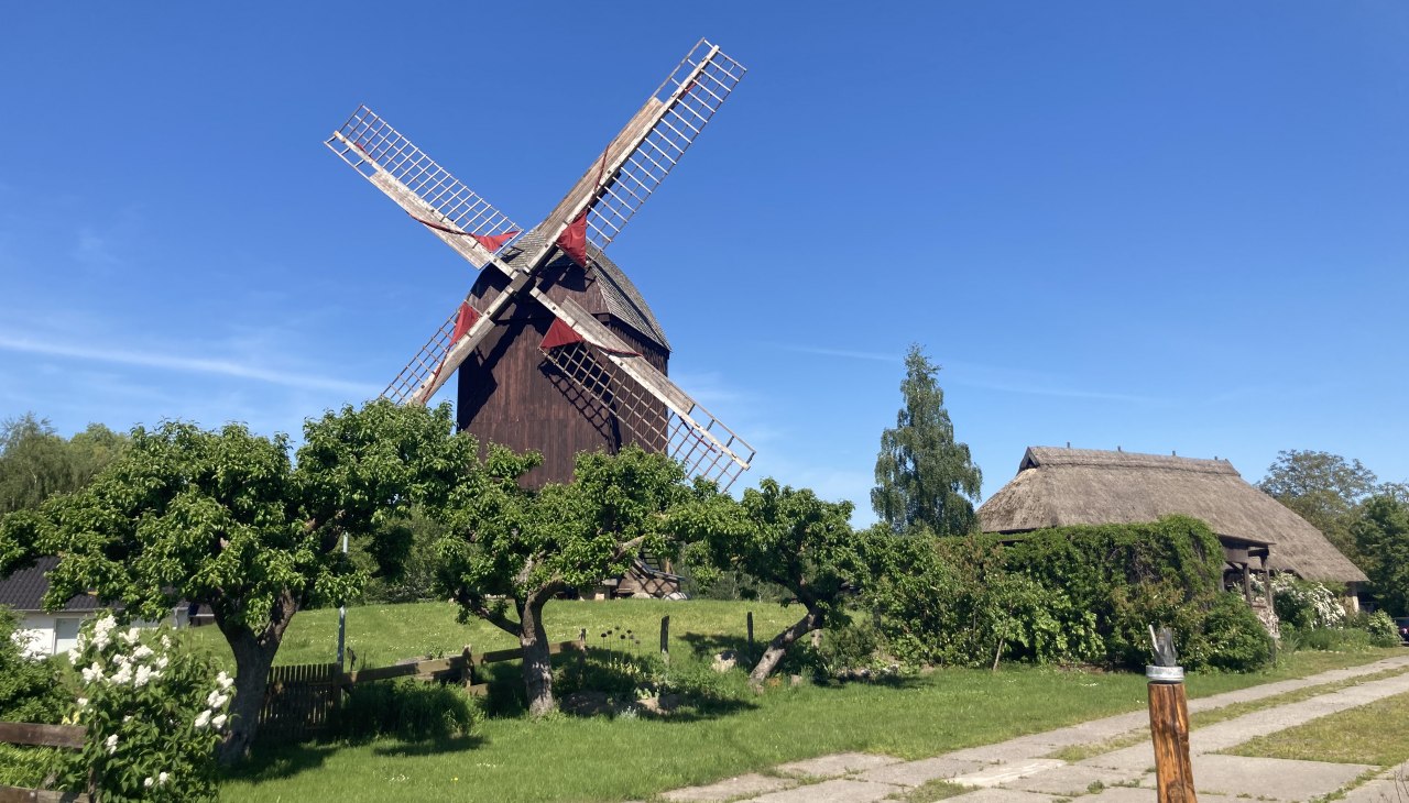 Widok na młyn Eldena ze stodołą sztuki w tle., © Martin Weidemeier