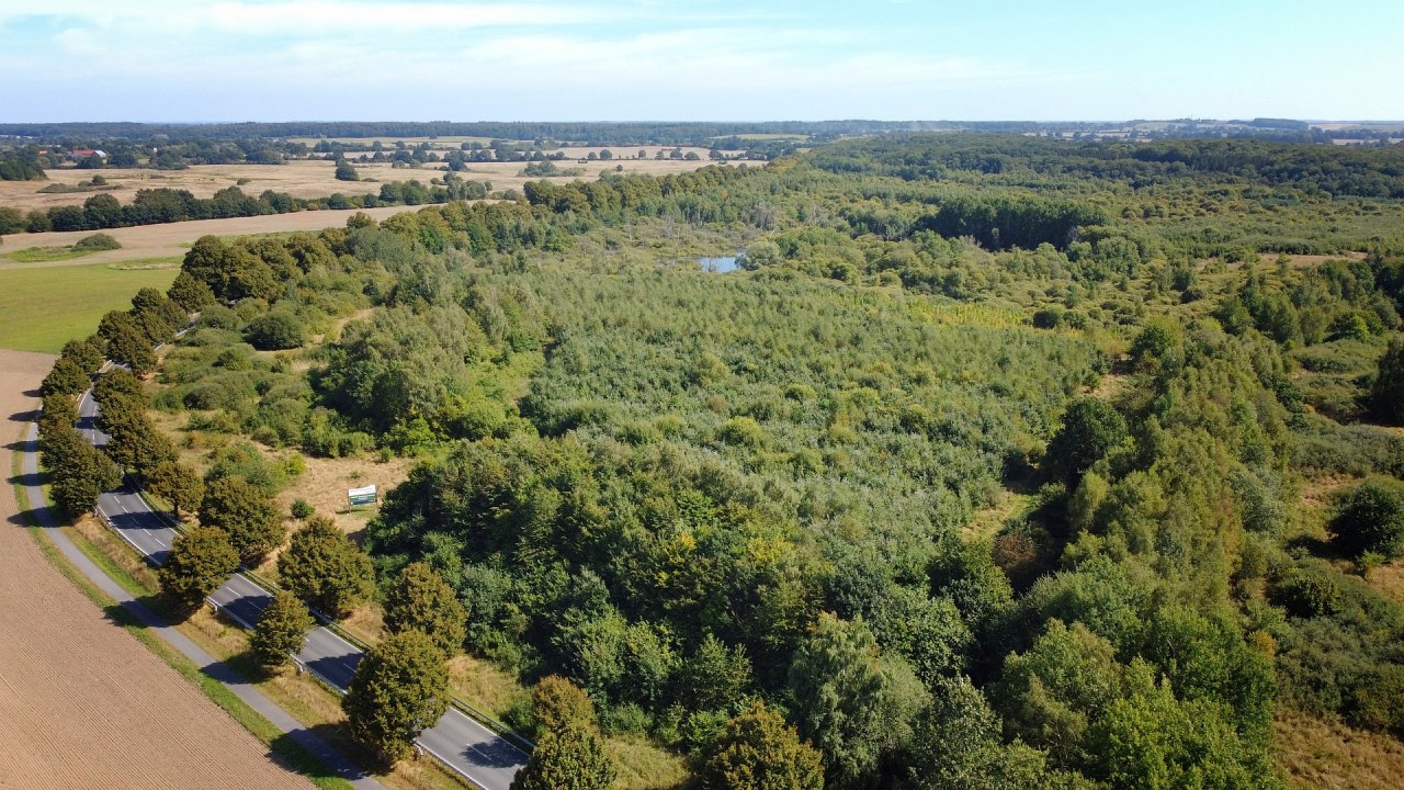 Klimatyczny leśny rezerwat biosfery Schaalsee // © Landesforst MV Klimatyczny leśny rezerwat biosfery Schaalsee // © Landesforst MV