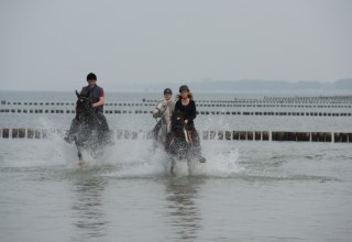 Reiterhof Gr&auml;nert offers horseback rides to the Baltic Sea. // &copy; MV-T/ Frank Hafemann