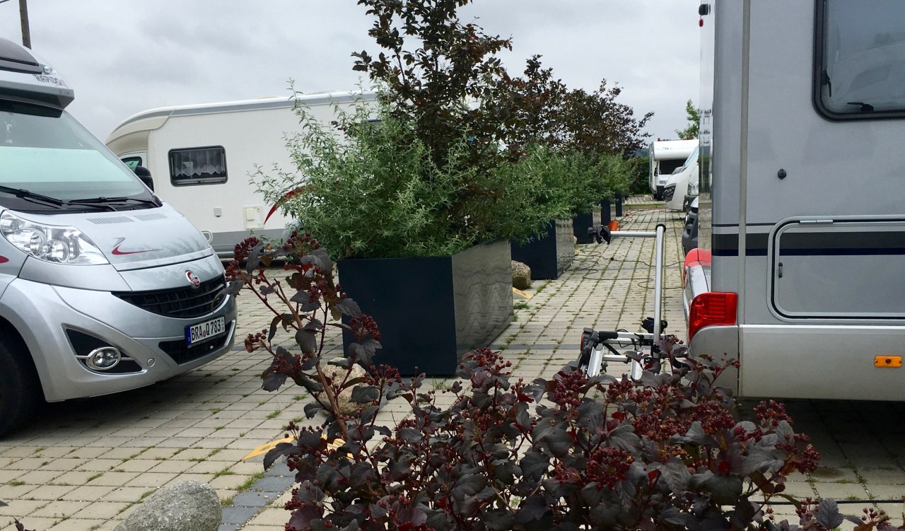 ...teraz zmienia kolor na zielony, &copy; Roland E. Winkler