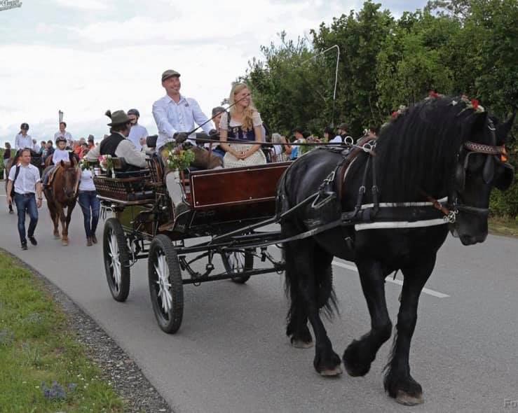 Farma koni w Glasowie, © Pferdehof Glasow