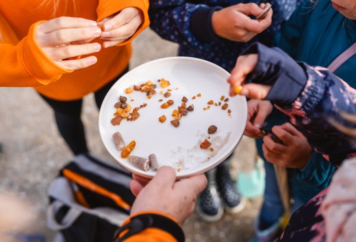 Kinderen houden een kom met vers verzameld barnsteen en zand vast tijdens een strandexcursie aan de Baltische Zee.