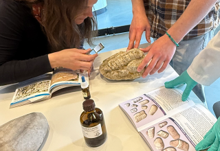 Co to za skała? // &copy; Claudia Siatkowski/M&uuml;ritzeum