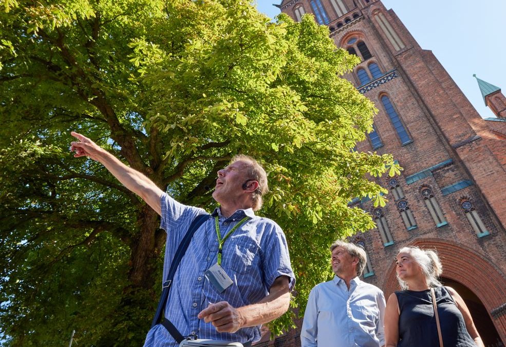 Stadsrondleiding Schwerin | Dom van Schwerin, © Oliver Borchert