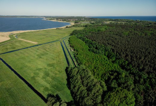 Klimaatbos op het eiland Usedom bij Damerow, © TMV/Petermann