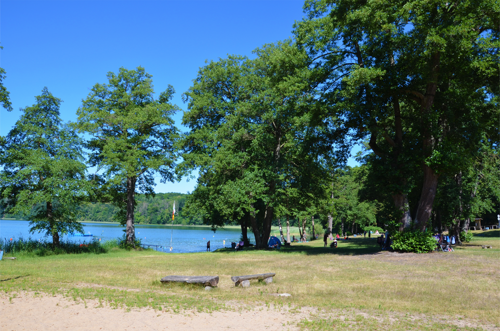 1_BROITER LUZIN - PLAŻA LICHTENBERG, © Martin Möller