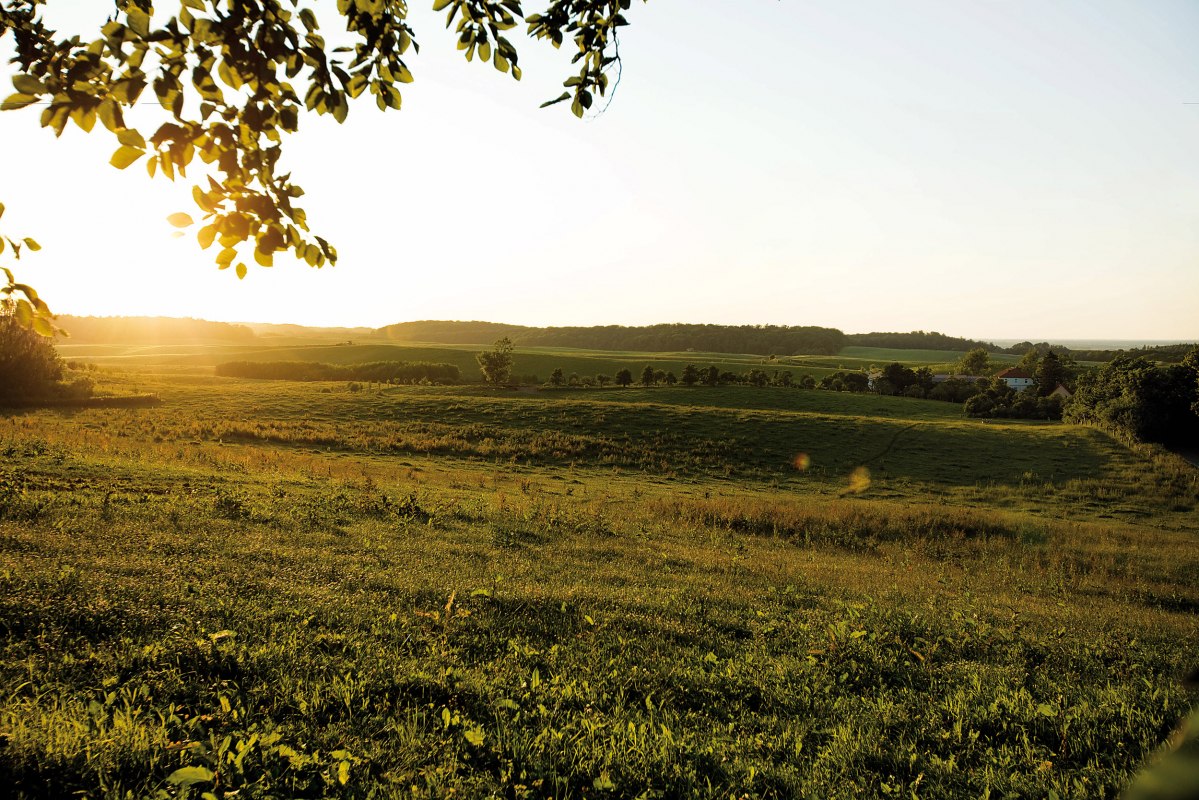 Het idyllische landschap van Klepelshagen // © Gourmet Manufaktur Gut Klepelshagen Het idyllische landschap van Klepelshagen // © Gourmet Manufaktur Gut Klepelshagen