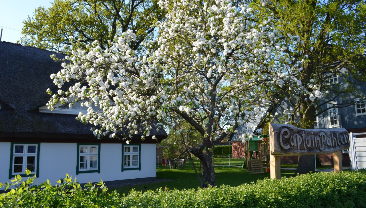 Kapitein Pahlen vakantieoord, © Captain Pahlen Ferienanlage Kapitein Pahlen vakantieoord, © Captain Pahlen Ferienanlage