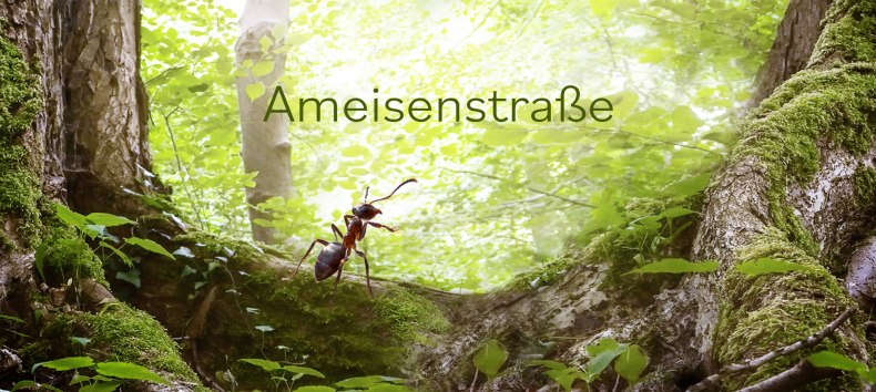 &copy; fredak-mv.de
