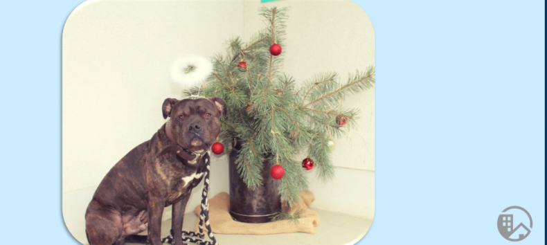 © Hinterste Mühle © Hinterste Mühle