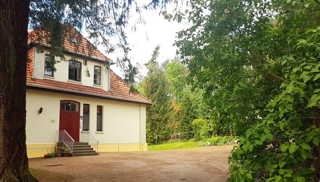 The driveway to the house, © Inge Grell