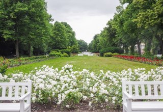 Rose garden with benches in foreground // © Frank Burger Rose garden with benches in foreground // © Frank Burger