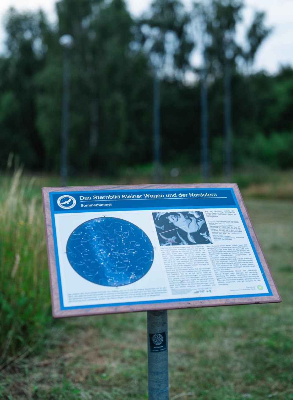 En informationstavle med et stjernekort over Lille Vogn og Nordstjernen står ved kanten af en eng, med skoven svagt synlig i baggrunden. // Informationsskiltet viser Lille Vogn og Nordstjernen – et udgangspunkt for en nat på et af de offentligt tilgængelige stjerneobservationssteder i Mecklenburg-Vorpommern. // © MV-T/Gross En informationstavle med et stjernekort over Lille Vogn og Nordstjernen står ved kanten af en eng, med skoven svagt synlig i baggrunden.