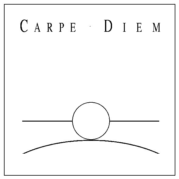 Logo Carpe Diem w Prerow, © Carpe Diem