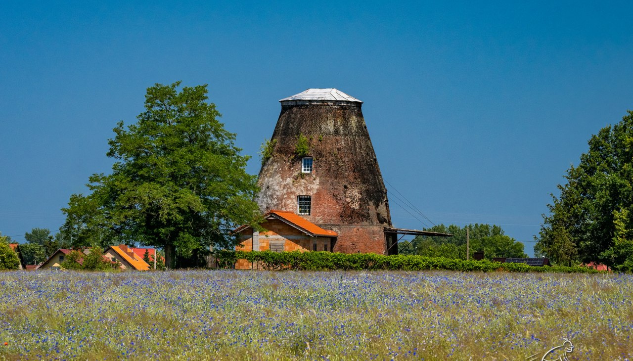 Wiatrak holenderski, © Pomorze Zachodnie Wiatrak holenderski, © Pomorze Zachodnie