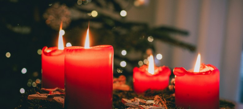 Advent in the park (symbolic photo), © Foto von Jonas Von Werne auf Unsplash Advent in the park (symbolic photo), © Foto von Jonas Von Werne auf Unsplash