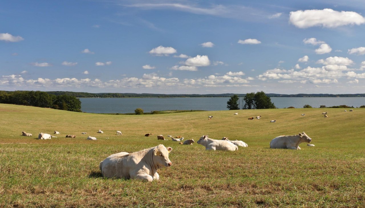 Loddiner Höft, © TMV/Gohlke