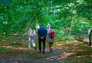 © Kur- und Tourismusbetrieb Ostseebad Prerow © Kur- und Tourismusbetrieb Ostseebad Prerow