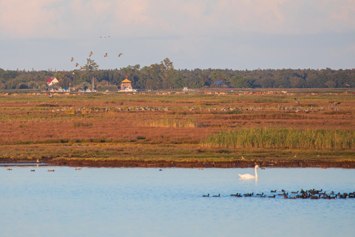 &copy; Wei&szlig;e Flotte GmbH