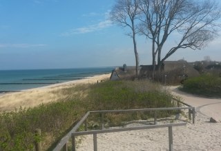 &copy; Jan Dzarnowski