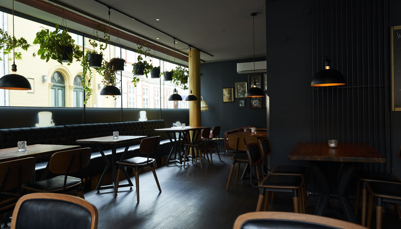 SenorZorro_034, © Senor Zorro_Tommy Hetzel