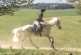 Reitjagd // © Martha Eugenia Bende Reitjagd // © Martha Eugenia Bende